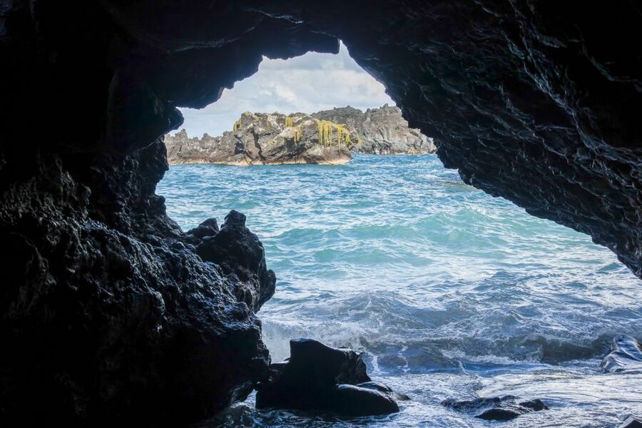 Maui: Small-Group Road to Hāna Sightseeing Tour - Why letting someone else drive Hana Road matters