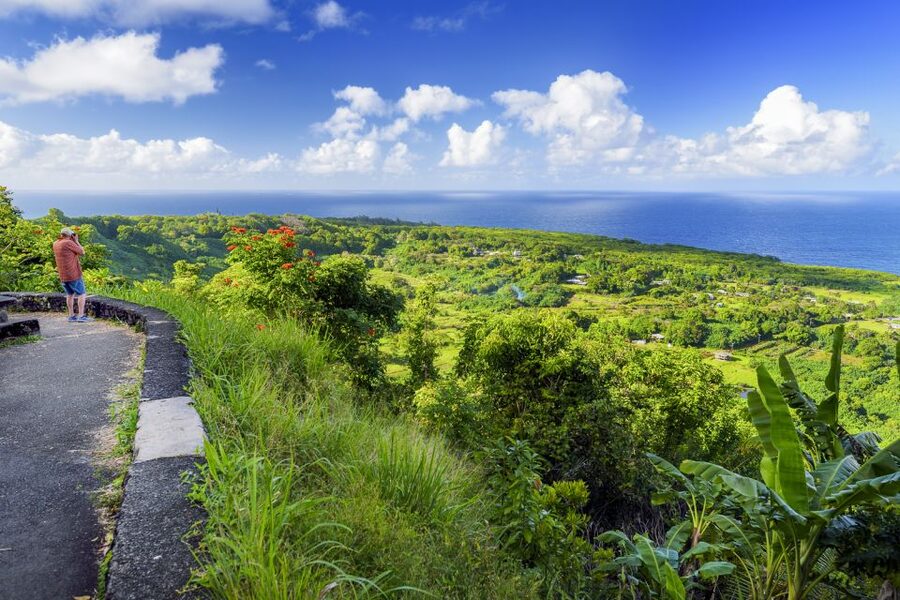 Maui: Small-Group Road to Hāna Sightseeing Tour - The route mix: coastal overlooks, rainforest stops, and the road’s changing moods