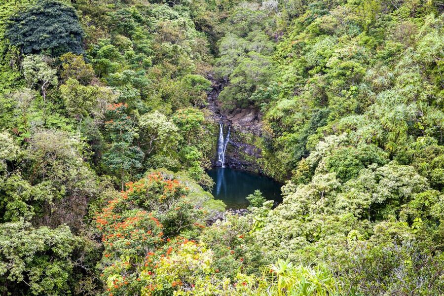Maui: Small-Group Road to Hāna Sightseeing Tour - Practical tips: what to pack and what to skip for a smoother day