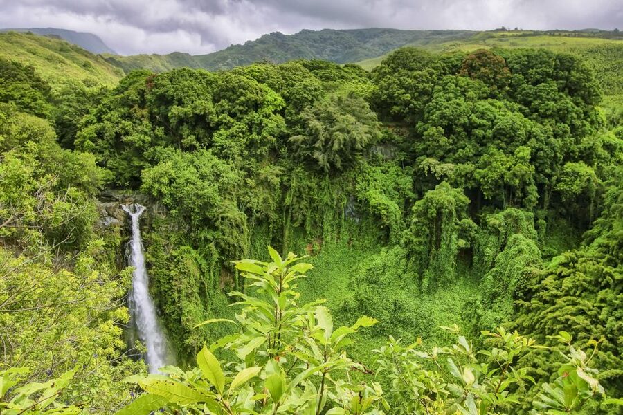Maui: Small-Group Road to Hāna Sightseeing Tour - Small group size, hotel pickup, and the morning routine that sets the tone