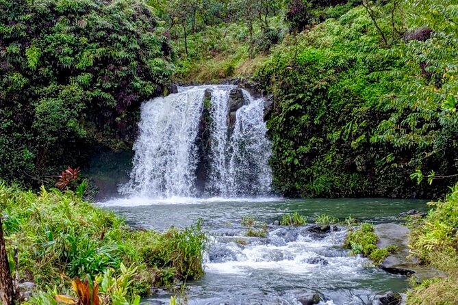 Maui: Small Group Road to Hāna Tour 6 to 8 passengers - Small group (up to 8) changes how the day feels