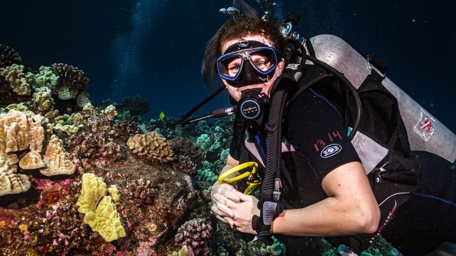 Maui: Small Group Shark & Turtle Scuba Dive from Shore - The reef extras you should actively scan for