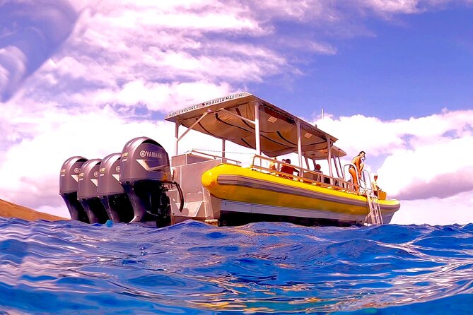 Maui Snorkel Adventure: Molokini Crater and Turtle Cove - Molokini Crater and Turtle Cove, One Smart Half-Day Plan