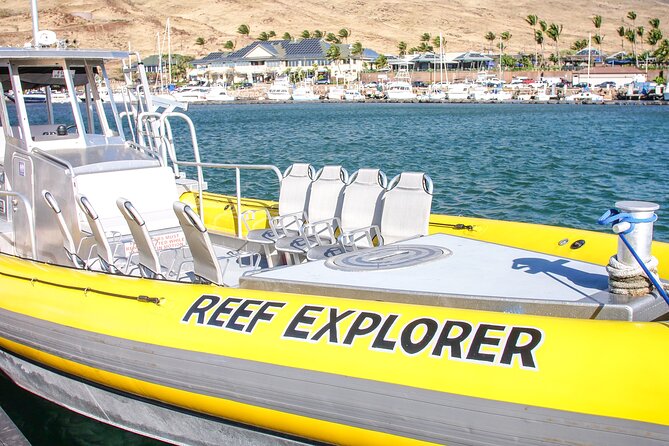 Maui Snorkel Adventure: Molokini Crater and Turtle Cove - Stop 3, Turtle Cove Swim: Green Sea Turtles, Patience, and Close-Up Magic