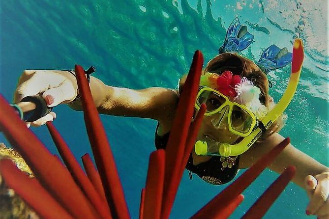 Maui Snorkel Adventure: Molokini Crater and Turtle Cove - Reef Explorer Super Raft: Fast, Stable, and Made for Getting Wet