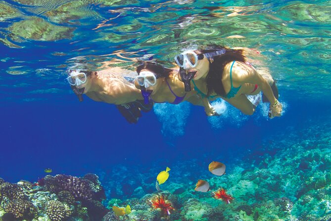 Maui Snorkel and Sunset Sail - Key highlights you will feel immediately