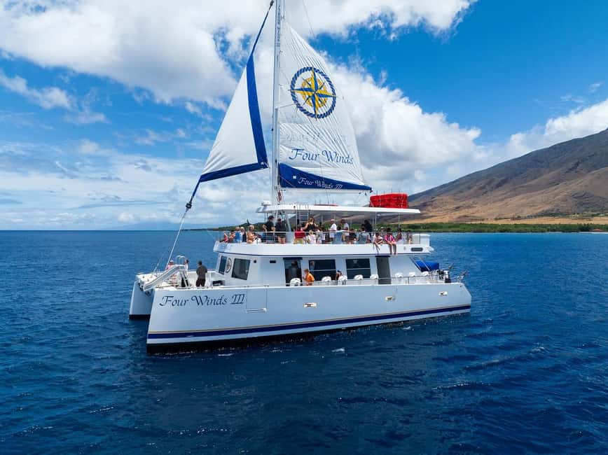 Maui: Snorkel Tour to Coral Gardens - Four Winds from Maalaea Harbor, where comfort is part of the plan