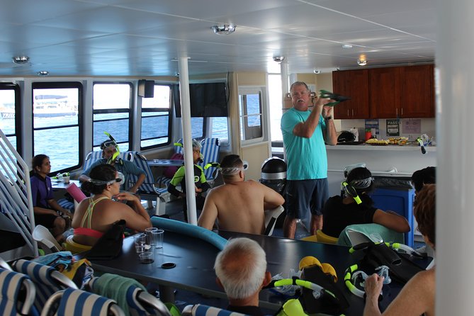 Maui Snorkeling Adventure From Ma'alaea Harbor to Molokini - Who this Maui snorkeling adventure is best for