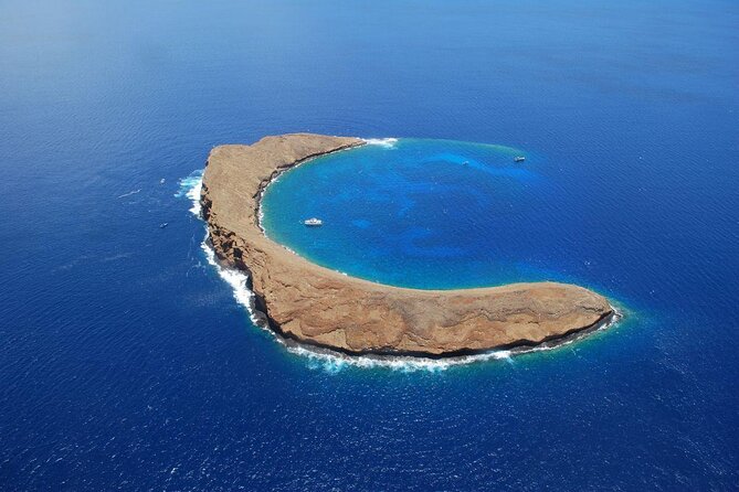 Maui Snorkeling Adventure to Molokini and Turtle Town - Key things to know before you go
