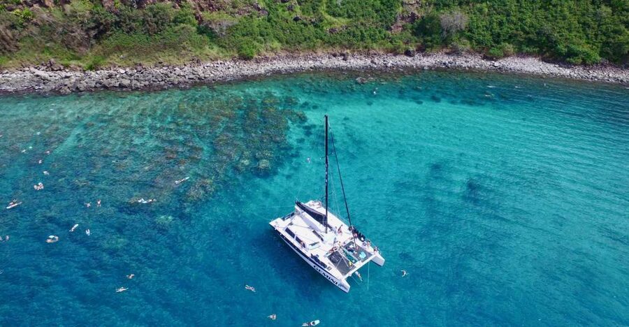 Maui: Snorkeling and Sailing Adventure with Buffet Lunch - Honolua Bay Marine Reserve, plus Backup Snorkel Spots