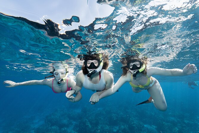 Maui Snorkeling Boat Tour to Turtle Town Aboard Quicksilver - Key takeaways before you go