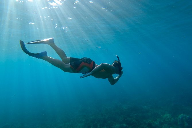 Maui Snorkeling Boat Tour to Turtle Town Aboard Quicksilver - How the 4.5-hour schedule really plays out