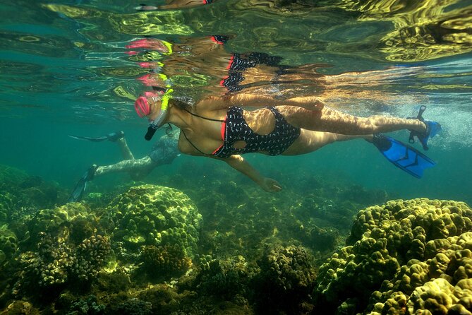 Maui South Shore Premier Kayak and Snorkel Tour from Makena Beach - What You Do First: Safety Talk, Launch, and Getting Comfortable Fast