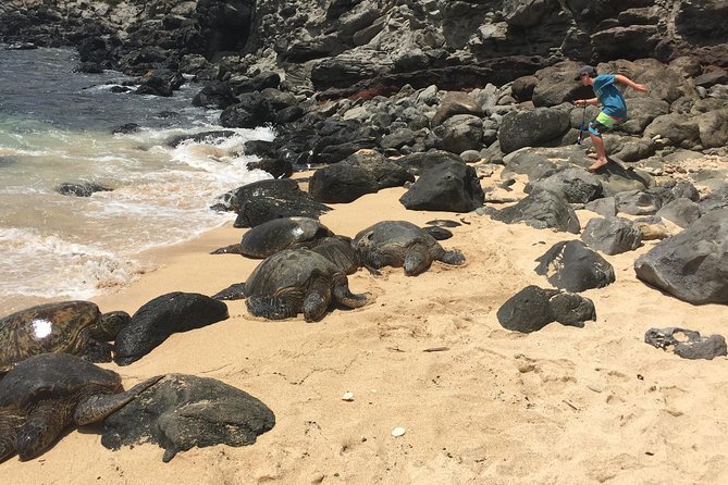 Maui Tour : Road to Hana Day Trip from Lahaina with Pick-up - Bamboo forest and Rainbow Eucalyptus: the photo stop you’ll remember