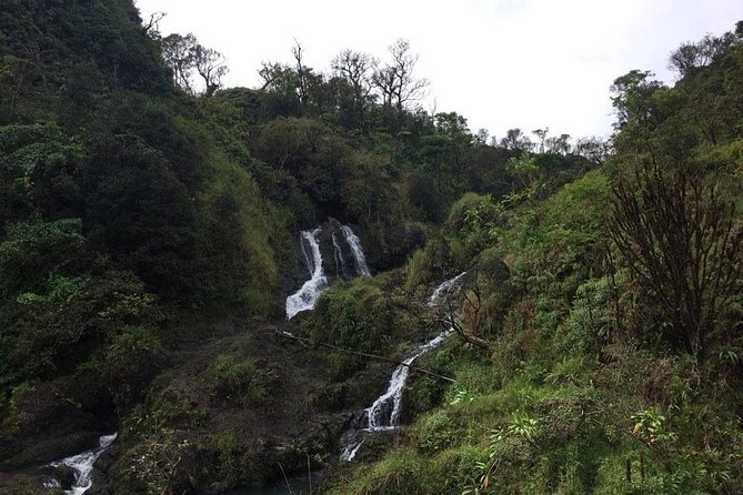 Maui Tour : Road to Hana Day Trip from Lahaina with Pick-up - Waikani Waterfalls: a “right side of the van” photo moment