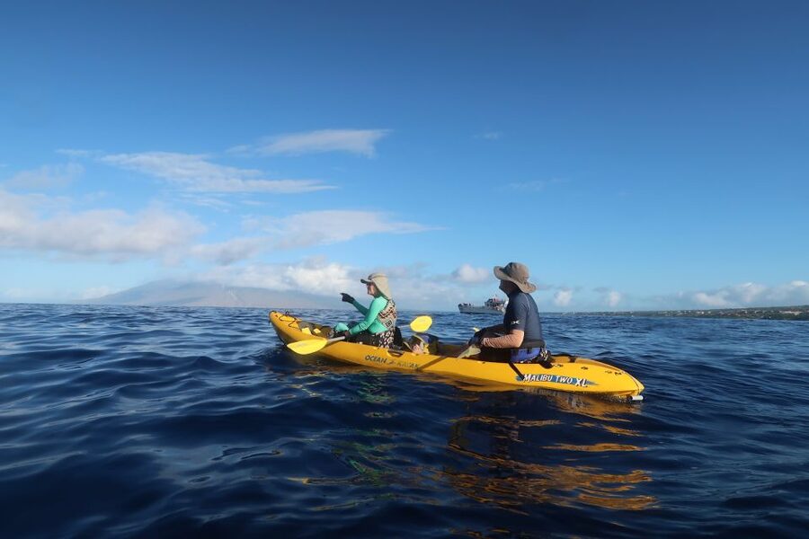 Maui: Turtle Town Kayak and Snorkel Tour - Makena Bay Turtle Town: why the turtles are the point