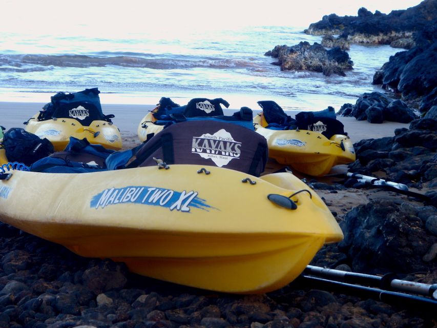 Maui: Turtle Town Kayak and Snorkel Tour - What marine life looks like in the water you’re seeing