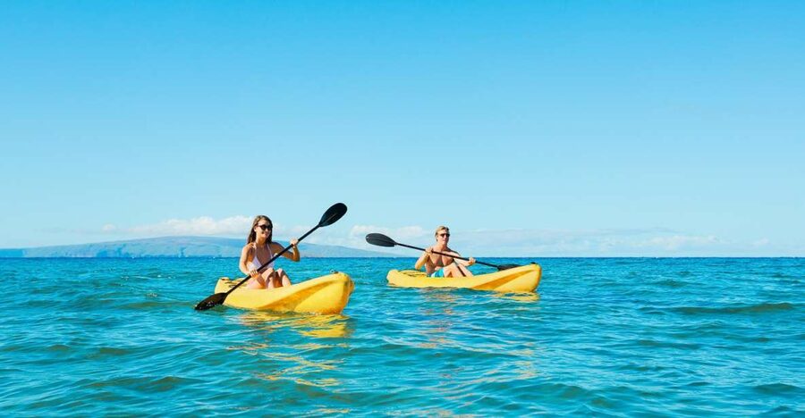 Maui: Turtle Town Kayak and Snorkel Tour - Whale season bonus: late Dec to mid April