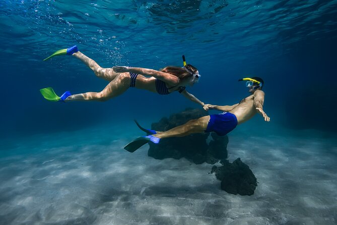 Maui: Turtle Town Snorkel with Photo and Video - Key highlights you’ll care about