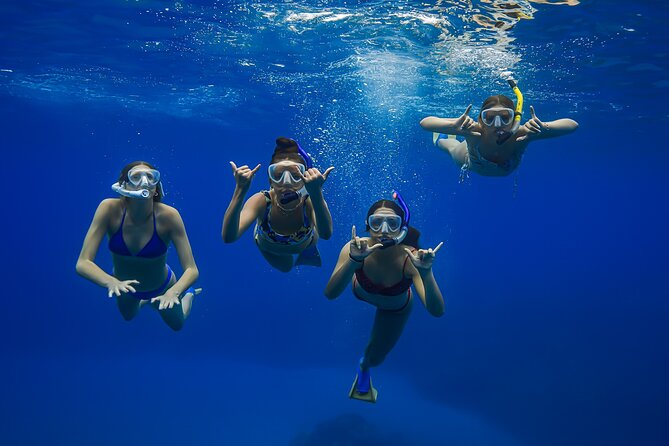 Maui: Turtle Town Snorkel with Photo and Video - Turtle Town snorkeling in Maui, minus the big-boat chaos