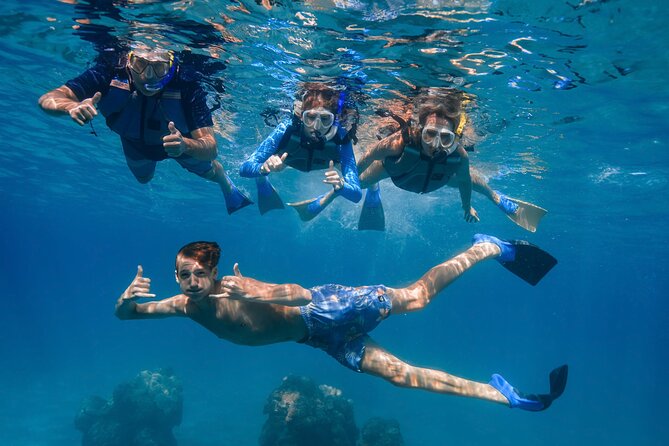 Maui: Turtle Town Snorkel with Photo and Video - Why the photo and raw video matter more than you think