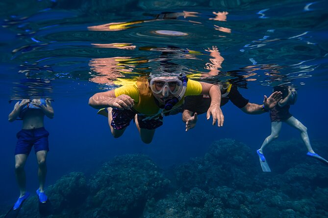 Maui: Turtle Town Snorkel with Photo and Video - Guides like Joe and Robbie, and how their style affects your comfort