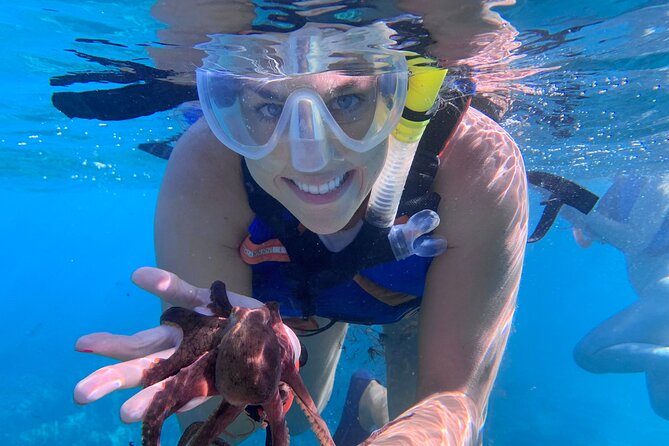 Maui: Turtle Town Snorkel with Photo and Video - Safety and turtle-friendly rules that keep the experience enjoyable