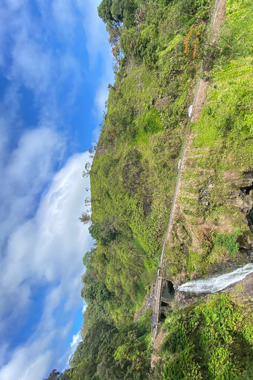Maui: Van Day Trip to Hana with Local Guide and Lunch - Key moments you’ll plan around
