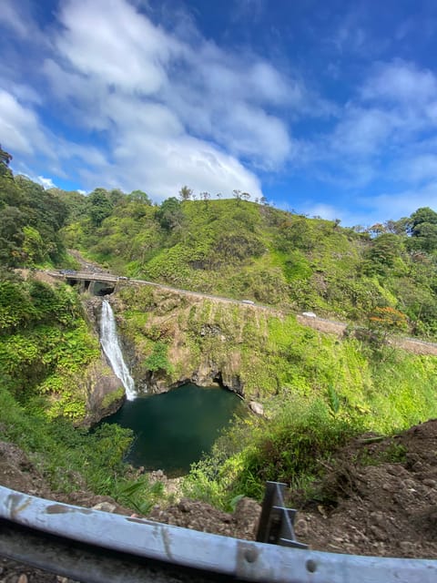 Maui: Van Day Trip to Hana with Local Guide and Lunch - Rainbow bark eucalyptus and coastal views with context