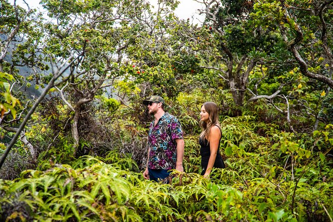 Maui: VIP Private Road to Hana Tour with Pick Up - Keanae Arboretum plus Keanae Point: taro terraces and old lava