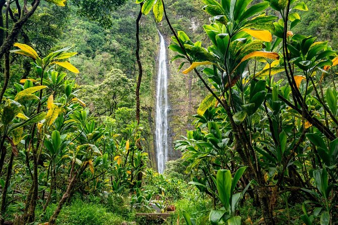 Maui: VIP Private Road to Hana Tour with Pick Up - Puaa Kaa State Park: rainforest quiet and a waterfall pool
