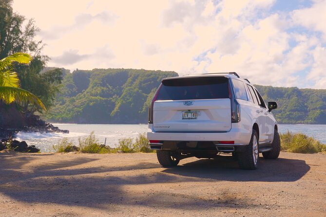 Maui: VIP Private Road to Hana Tour with Pick Up - Waianapanapa State Park: black sand that photographs like a dream