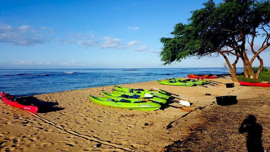 Maui: West Side Discovery Kayak & Snorkel from UKUMEHAME - Ukumehame and Olowalu, a short kayak with big ocean payoff
