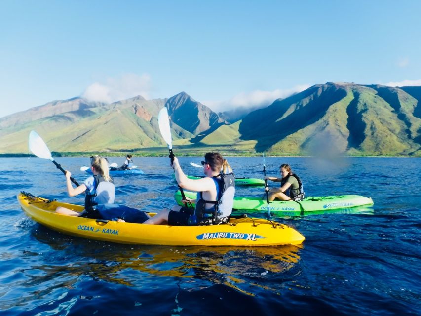 Maui: West Side Discovery Kayak & Snorkel from UKUMEHAME - Snorkel stops for turtles, fish, and the surprises reefs love to give