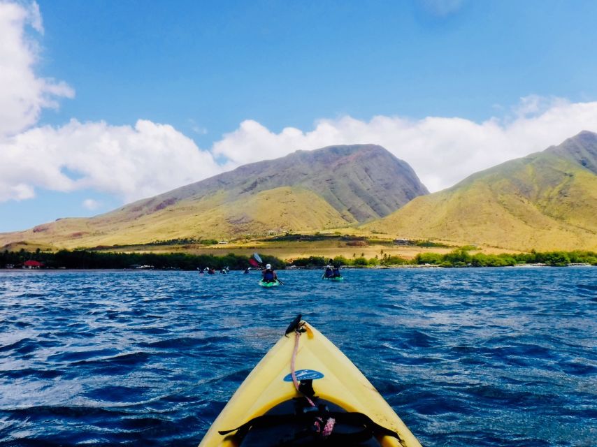 Maui: West Side Discovery Kayak & Snorkel from UKUMEHAME - Price and value: $119 for a guided kayak and snorkel day