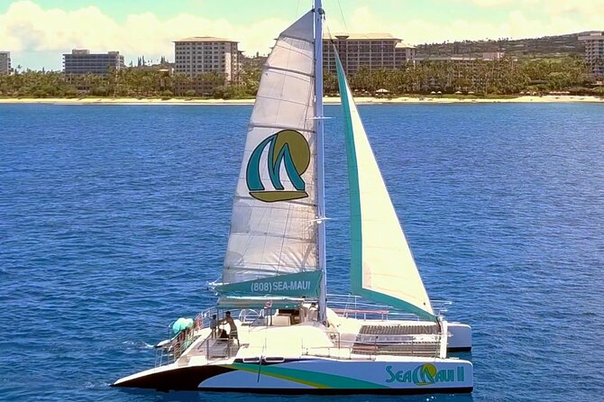 Maui: Whale Watching Cruise with Open Bar from Ka'anapali Beach - Ka’anapali whale watching, with West Maui action in the background