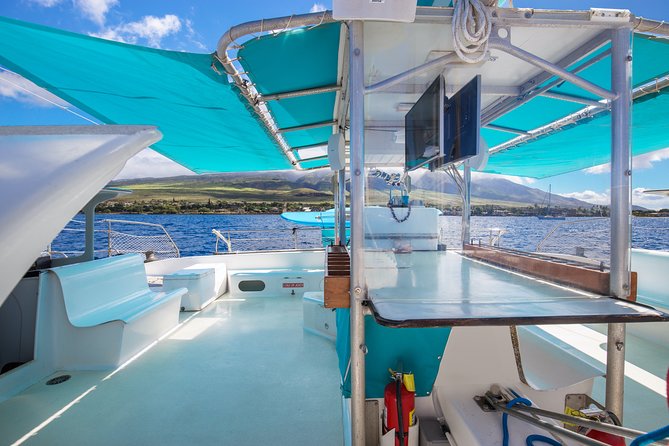 Maui: Whale Watching Cruise with Open Bar from Ka'anapali Beach - Practical logistics that make your day smoother