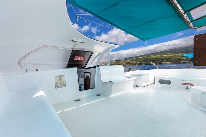 Maui: Whale Watching Cruise with Open Bar from Ka'anapali Beach - Who this Sea Maui cruise fits best