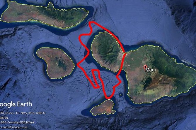 Maui Whale Watching -PRIVATE- Air Tour: (2-5 People): SEE WHALES! - Stop-By-Stop, What Each Moment Feels Like