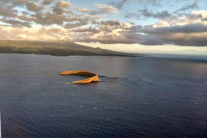 Maui Whale Watching -PRIVATE- Air Tour: (2-5 People): SEE WHALES! - Who This Tour Fits Best (And Who Might Want to Think Twice)