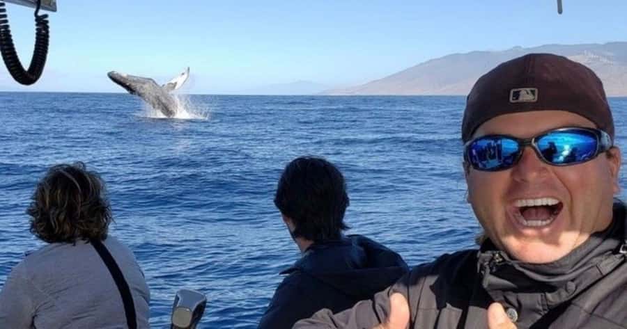 Maui: Whale Watching Tour - 1.5 hours - Maui whale watching from Kihei: the setup that matters