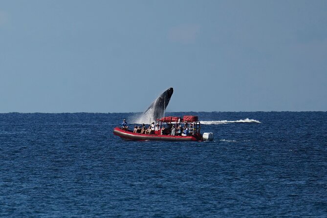Maui Whale-Watching Tour by Raft from Kihei - Wailea and Keawakapu: the quick passes that set the stage