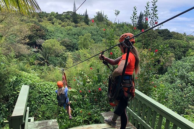 Maui Zipline Eco Adventure: 8 Lines through the Jungle - Haiku Jungle Ziplines: Why This Course Feels Special
