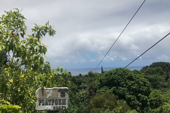 Maui Zipline Eco Adventure: 8 Lines through the Jungle - The 2-Hour Flow: From Check-In to Your Last Landing