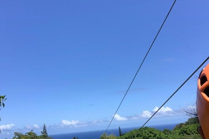 Maui Zipline Eco Adventure: 8 Lines through the Jungle - Should You Book Jungle Zipline Maui?