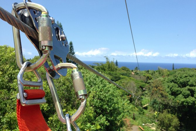 Maui Zipline Eco Adventure: 8 Lines through the Jungle - Safety and Guides: What the Best Reviews Repeatedly Point To