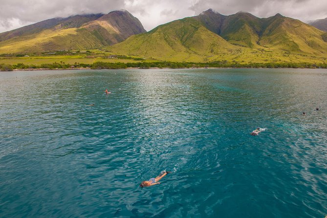 Molokini and Turtle Arches Snorkeling Trip from Ma'alaea Harbor - Stop one at Molokini: what you are really paying for