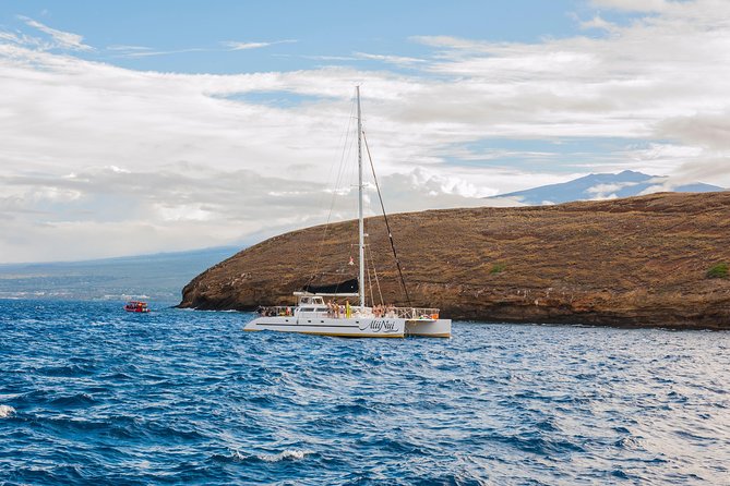 Molokini and Turtle Arches Snorkeling Trip from Ma'alaea Harbor - Breakfast, BBQ lunch, and the kind of comfort that matters on a boat