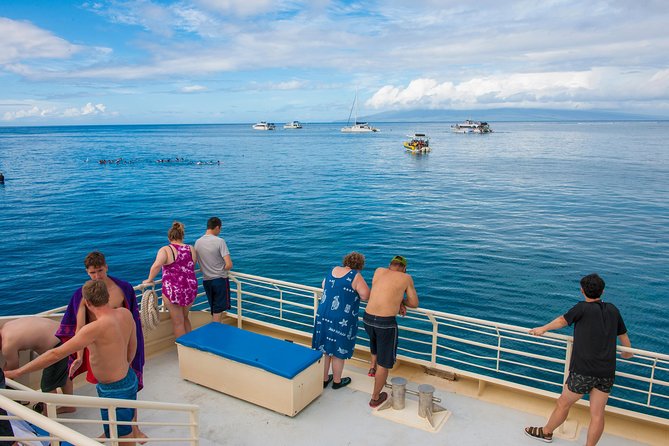 Molokini and Turtle Arches Snorkeling Trip from Ma'alaea Harbor - Weather reality: when the ocean changes the plan