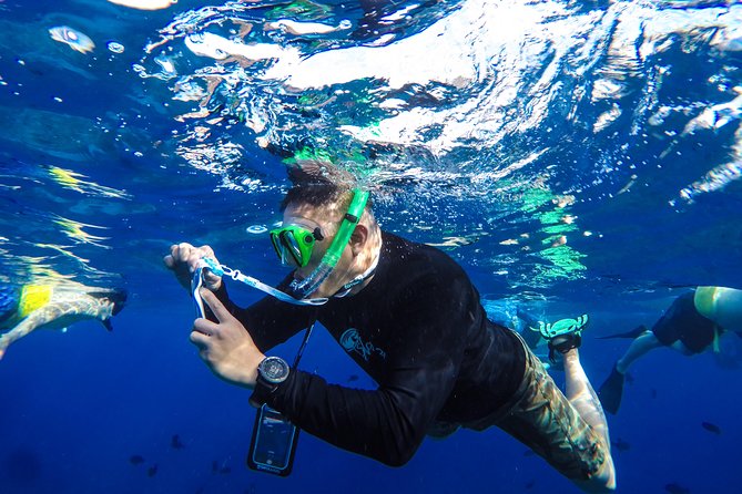 Molokini and Turtle Arches Snorkeling Trip from Ma'alaea Harbor - Who this snorkeling trip is best for